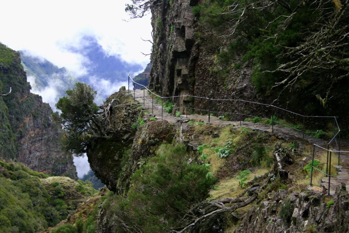 Madeira/ to the top!