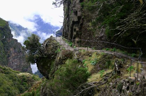 Madeira/ to the top!