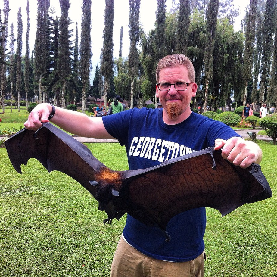 Flygande hund Bali, Indonesien Wolfdodge Reseguiden