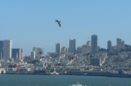 Utsikt över San Francisco från Alcatraz Island
