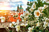 Vårweekend i Prag
