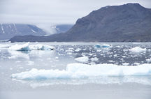 Svalbard juli 2012