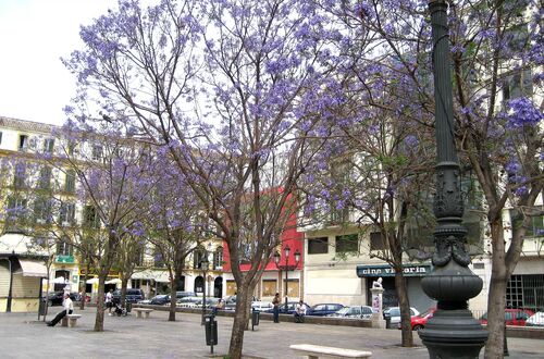 Málaga, Andalusien, Spanien