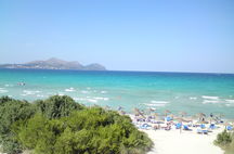 Mallis, Alcudia Pins