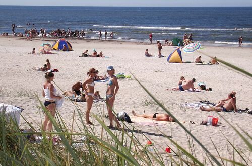 baltic sea in the background