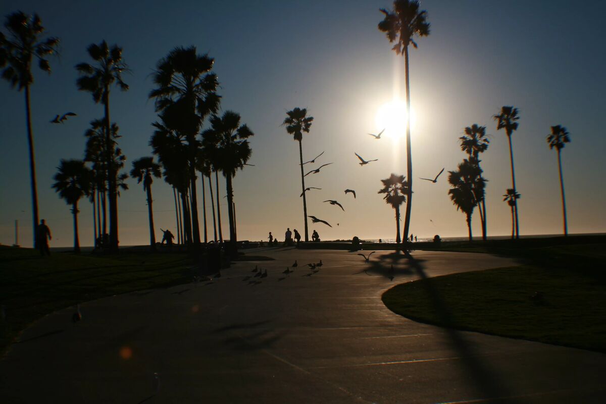sunset at venice beach