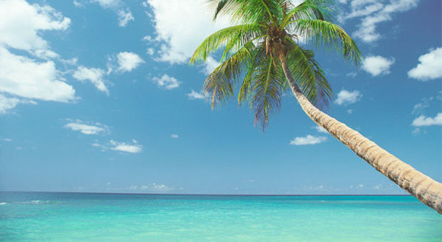 Vings nyhet - paradiset Barbados