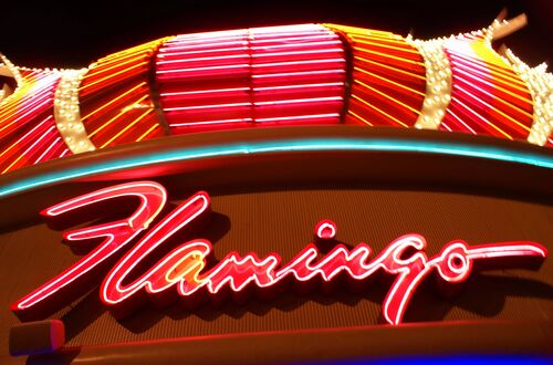 Neon-Flamingo