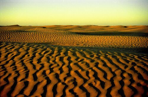 Solnedgång i Sahara