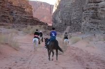 Ridresa i Wadi Rum Jordanien-Petra