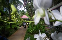 In the big banana jungle!