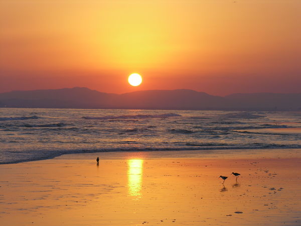 Solnedgång, Salalah, Oman - Oman