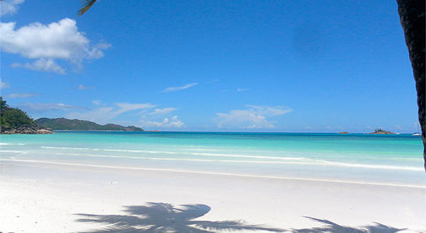 Fantastisk strand på Seychellerna
