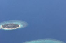 Maldiverna 2013