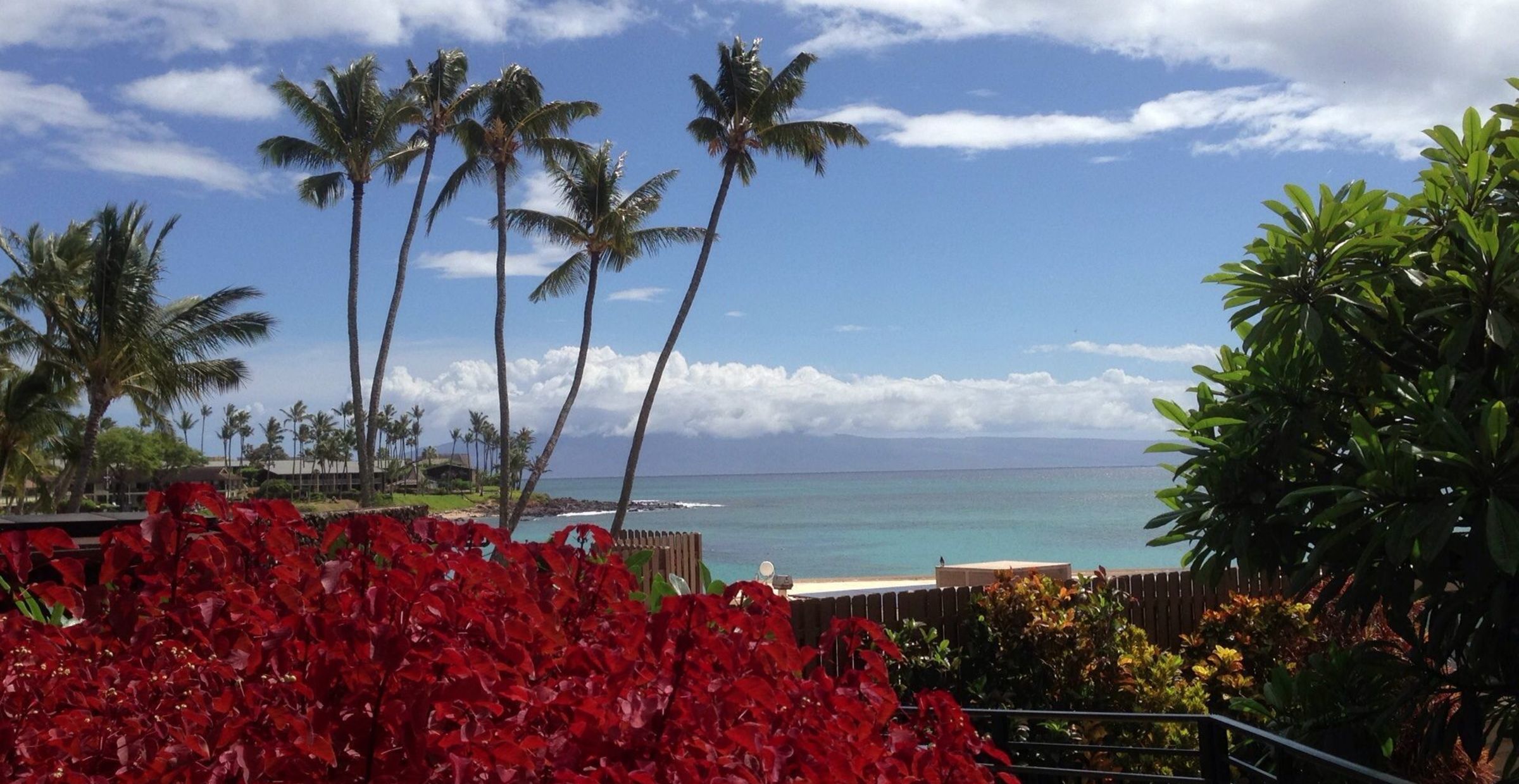 Sista minuten till Maui, Hawaii