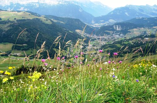 Alpsmycken..