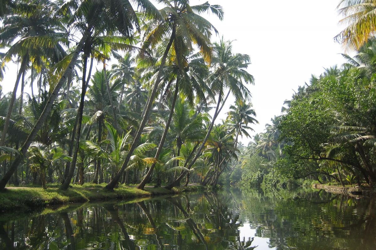 Backwaters