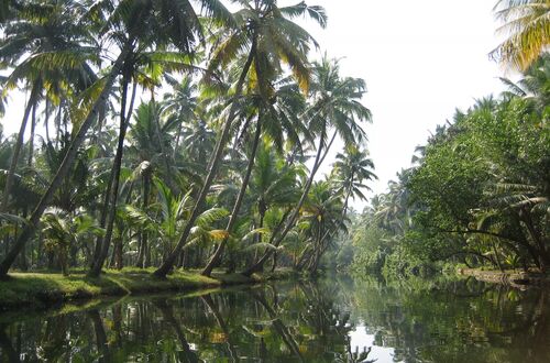 Backwaters