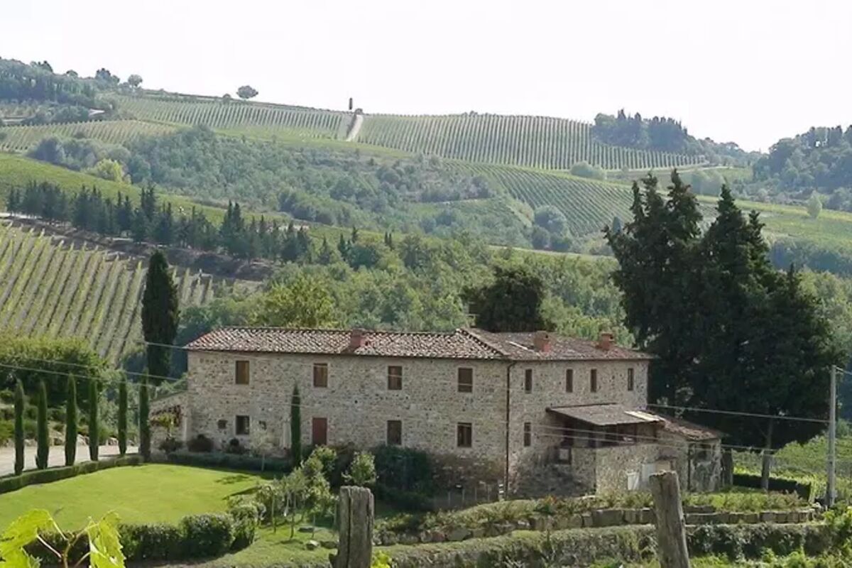 Vingård utmed Chiantivägen i Toscana
