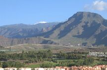 Tenerife...att fly den skånska vintern