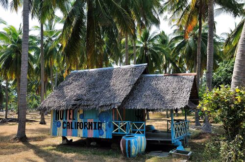 Hotel California, Dolphin Bay