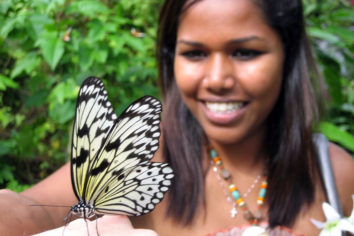 Singapore; Sentosa Butterfly Park