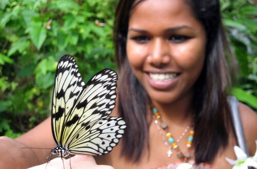 Singapore; Sentosa Butterfly Park