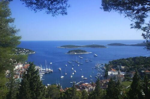 Lovely view