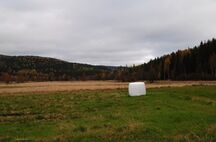 Hädanberg