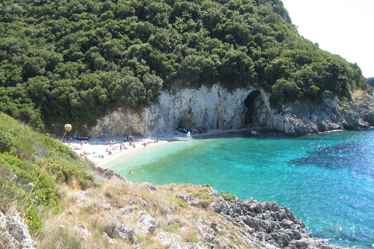 Fin strand