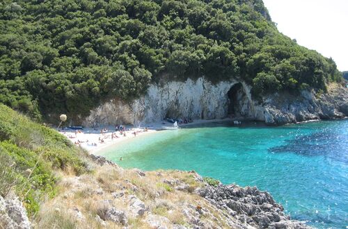 Fin strand