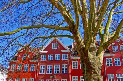 Vårsolen på Gråbrødre Torv