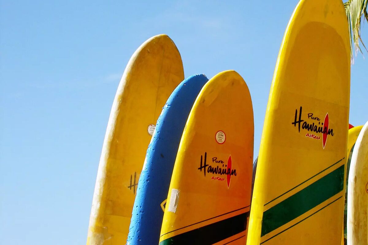 Surfinbrädor