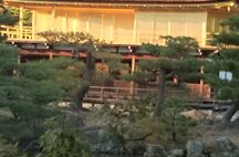 Japan 2014