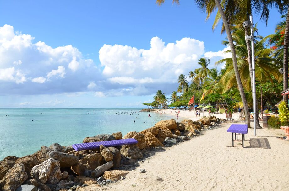 Bild 502589 från Bon Accord, Tobago, Trinidad och Tobago Turbo_mh