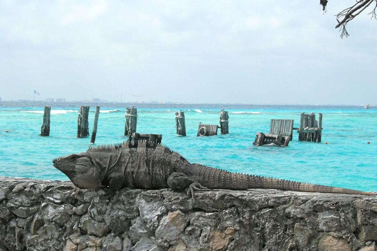 Isla Mujeres