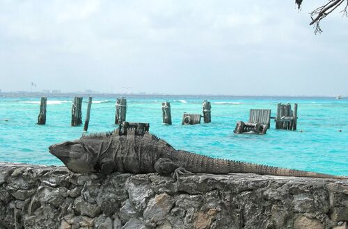 Isla Mujeres