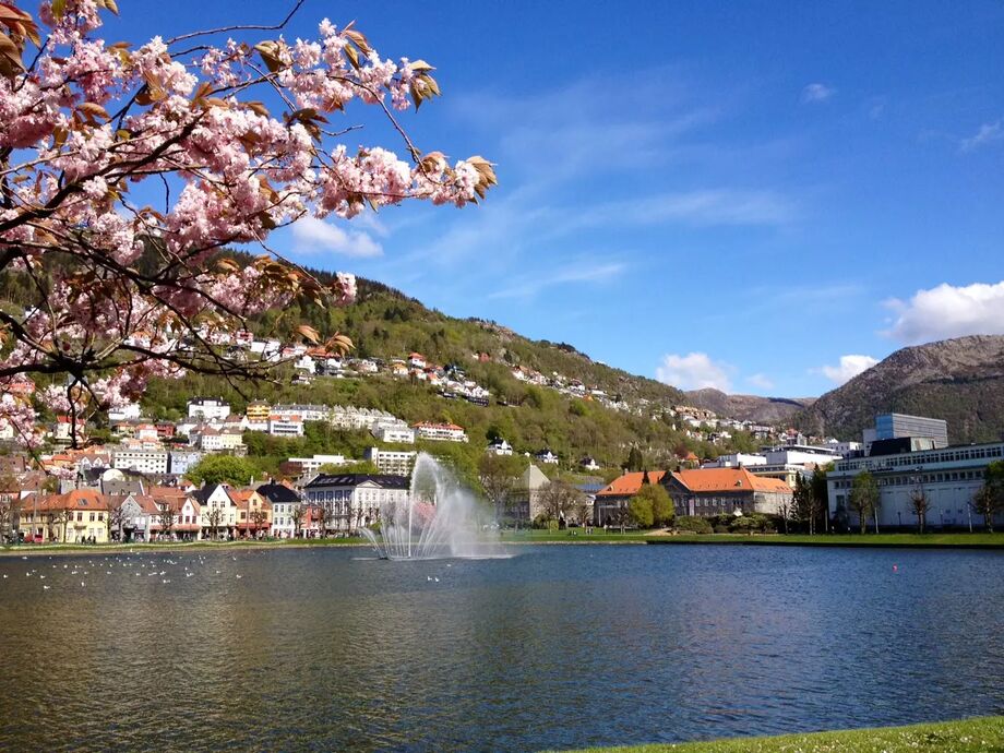 Lille Bergen, Pichte Reseguiden