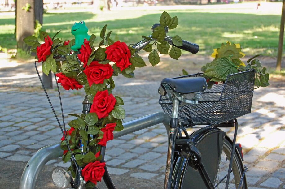 Cykel Berlin, Tyskland Karinlorvik Reseguiden