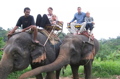 Elefant tracking