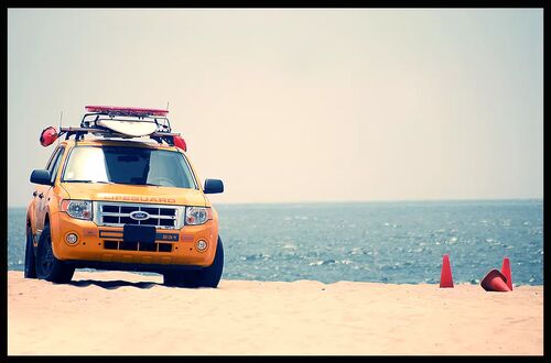 Baywatch!!