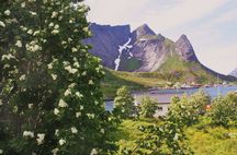 2 dager i vakre Lofoten i nord.-Norge - Juli 2012