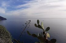 Cinque Terre 