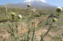Doğubayazıt , Mt Ararat 5165m, Mt Suphan 4080m, Van, Noaks Ark mm