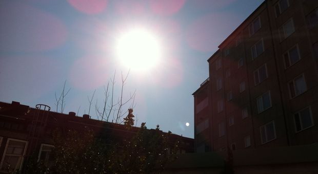 Sol förlänger livet!