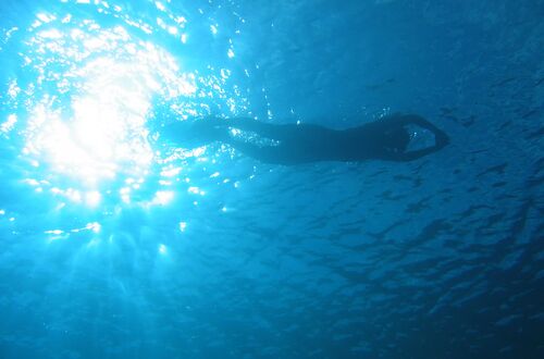 Swim