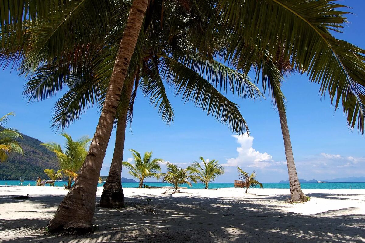 Palm Strand