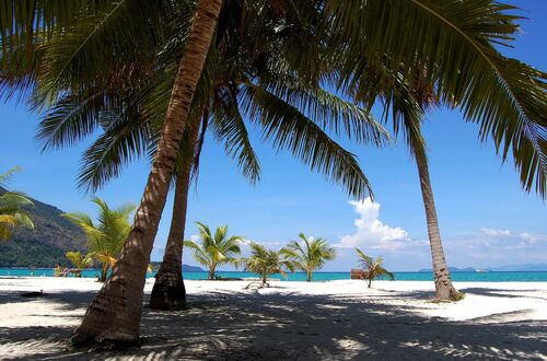 Palm Strand