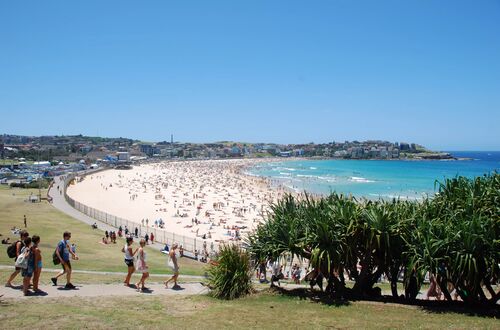 Bondi Beach.